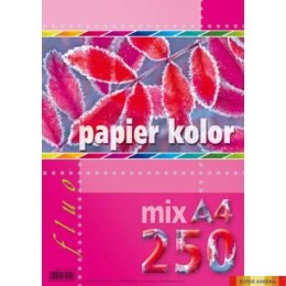 Papier kredowy A4 FLUO mix 5 kolorów (250 arkuszy)5kol KRESKA Kreska