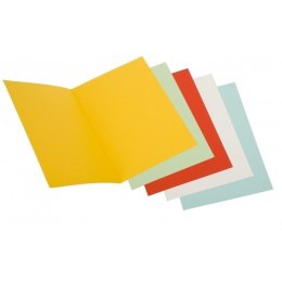 Okładka na dokumenty DOTTS A4+ biała (215x305mm) (5szt) Warta