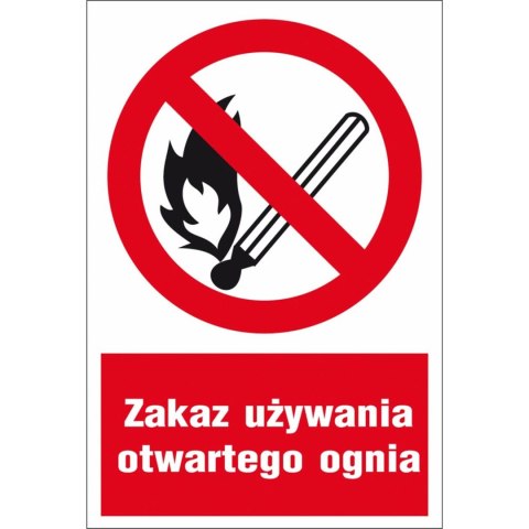 Tabliczka Zakaz używania otwartego ognia ZZ-11P-1 (X) Reis