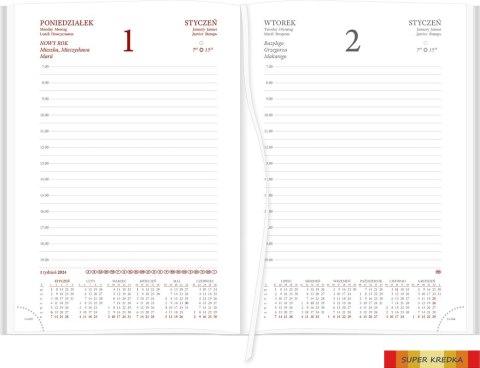 Kalendarz Vivella A5 dzienny p. biały Nr kat. 216 A5DB czerwony 2024 WOKÓŁ NAS Wokół Nas