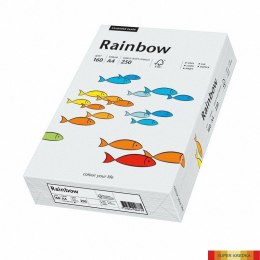 Pap.xero A4 160 j.szary 250aR93 RAINBOW 88042791/84 (X) Rainbow