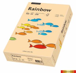 Papier xero A4 160g j.różowy 250a R54 RAINBOW 88042527/23 Rainbow