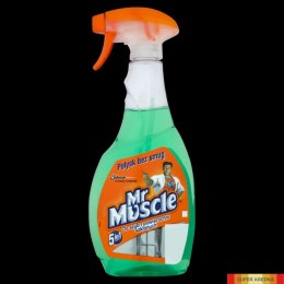 Płyn do szyb MR.MUSCLE 500ml z rozpylaczem zielony *139266 Mr. Muscle