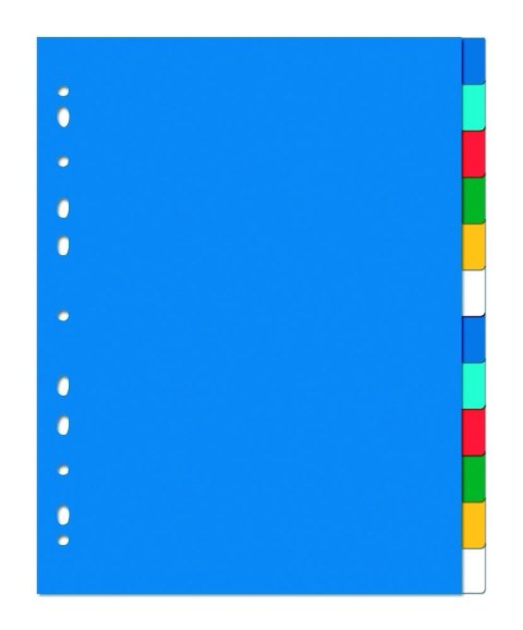 Przekładki OXFORD z kolorowego PP, A4 MAXI, 12 kart 100205086 Oxford