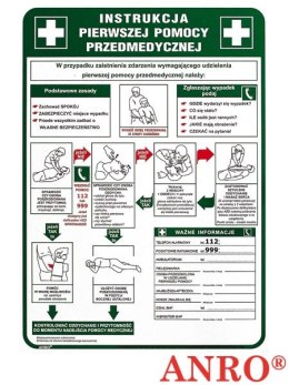 Tabliczka INSTRUKCJA UDZIELANIA PIERWSZEJ POMOCY PRZEDMEDYCZNEJ 250x350 PŁYTA PCV ZZ-IB13 ANRO Panta Plast