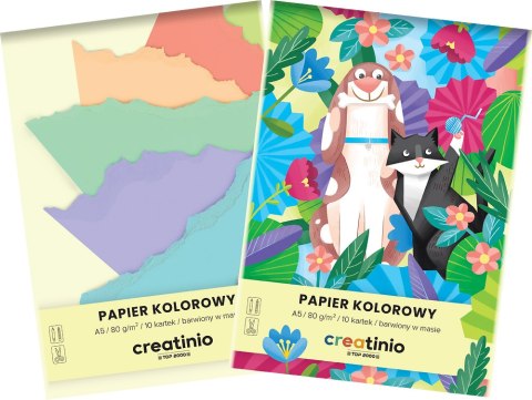 PAPIER KOLOROWY TOP 2000 CREATINIO A5 10K 80G 400176683 Top 2000