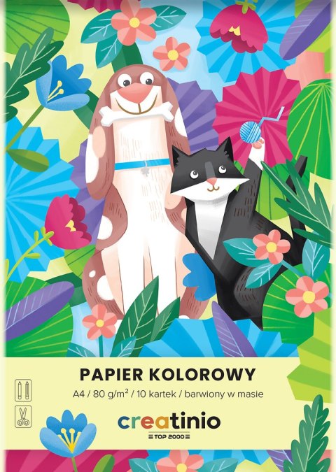 PAPIER KOLOROWY TOP 2000 CREATINIO A3 10K 80G 400176685 Top 2000