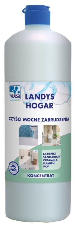 Koncentrat Professional do czyszczenia i dezynfekcji silnych zanieczyszczeń, kamień rdza itp., łazienka, sanitariaty, ceramika,  VIJUSA