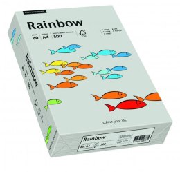 Papier xero kolorowy RAINBOW szary R96 88042805 Rainbow