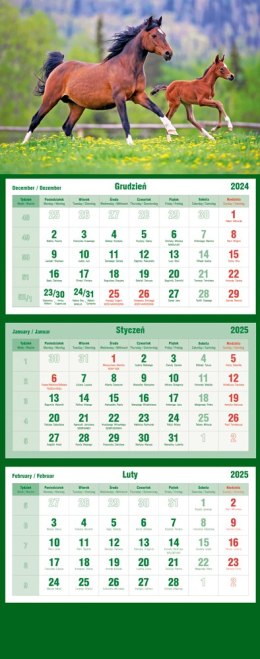 Kalendarz trójdzielny 2024 Konie Michalczyk i Prokop T-105T-11 Michalczyk i Prokop