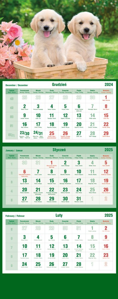 Kalendarz trójdzielny 2024 Pies Michalczyk i Prokop T-105T-09 Michalczyk i Prokop