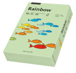 Pap.xero A4 160g przyg.ziel.R75 (250) RAINBOW 88042637 (X) Rainbow