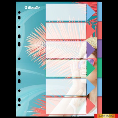 Przekładki ColourBreeze PP A4, 6 przekładek Esselte 628499 Esselte