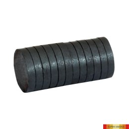 Magnesy 30mm x 4mm, bez obudowy, 12 szt GRAND 130-1788 Grand