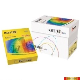 Papier A4 160g kość słoniowa 250a BE66 MAESTRO COLOR pastel Maestro