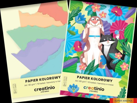 PAPIER KOLOROWY TOP 2000 CREATINIO A4 10K 80G 400176684