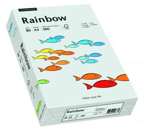 Papier xero kolorowy RAINBOW jasnoszary R93 88042783 Rainbow