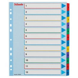 Przekładki kartonowe MYLAR A4 MAXI 1-12 ESSELTE 100209 Esselte