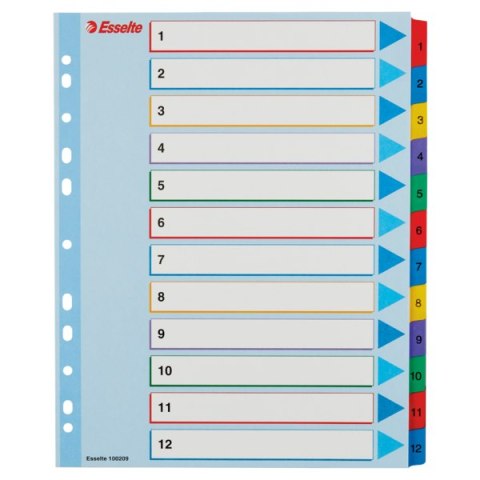 Przekładki kartonowe MYLAR A4 MAXI 1-12 ESSELTE 100209 Esselte